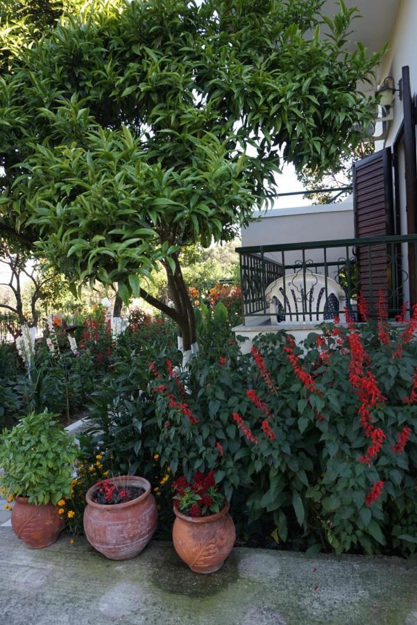 Villa Nikolaou 파르가 외부 사진